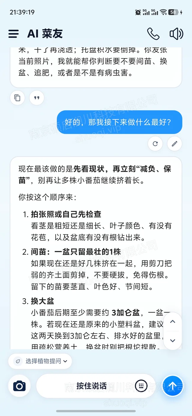 AI 菜友：对话